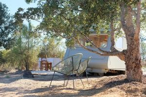 Chic vintage caravan retreat, just 25 mins to the beach