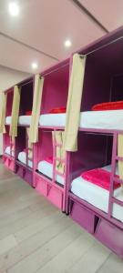 Hostel Bemaro Mexico City