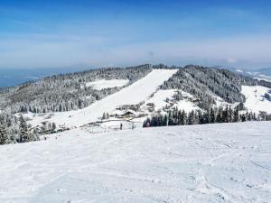 Apartment Simonhöhe-1 by Interhome