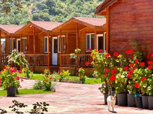 Venüs Gold Bungalov Adrasan