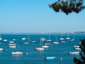 Maisons de vacances Holiday Home La Sabliere by Interhome : photos des chambres