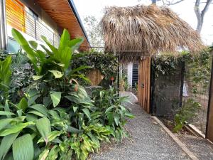 Mar Botánico - Avellanas Beach Hotel