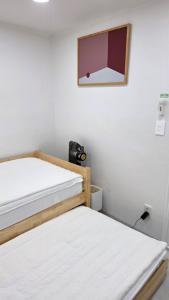 Alley House 앨리하우스