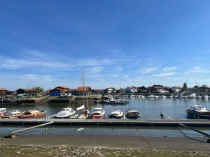 Appartements Charmant T2 moderne pres du port de La Teste avec parking, balcon et Wi-Fi - FR-1-474-240 : photos des chambres