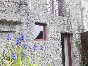 Appartements Maison charmante avec jardin, proche Val Joly, animaux admis, WiFi - FR-1-510-166 : photos des chambres