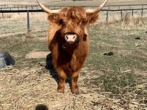 Trawalla Farm Stays - Entire House and Large Pool Bar - Perfect for Groups