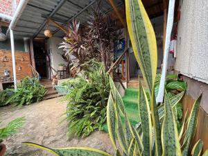 Sua Casa em Noronha - Conforto e Charme na Pousada da Iris