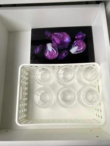 Studio próximo hospital Unimed Tubarão