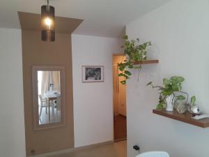 Hermoso Departamento en Güemes sobre Cañada