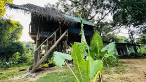 Sigiri Veenus Tree House