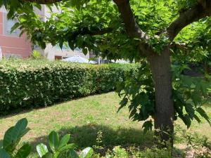 Appartements Zen Attitude Apartment : Appartement - Vue sur Jardin