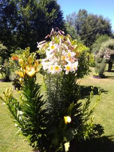 Casa RamLe