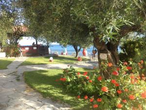 Alexiadis Apartments Halkidiki Greece