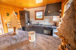 Chalets Chalet O Gustav, vue montagne, au calme, 8p : photos des chambres