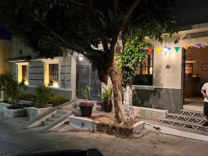 Eco-Hotel Black Tree