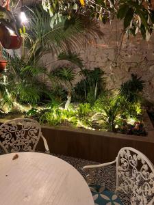 Eco-Hotel Black Tree