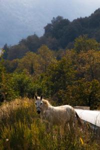 Kalderimi Country House Pelion Greece