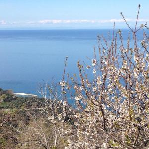 Kalderimi Country House Pelion Greece