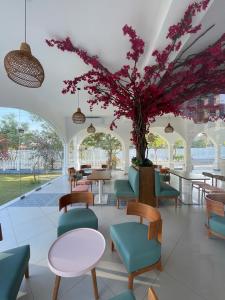 Stylish Family Stay in Negombo with Resort Amenities