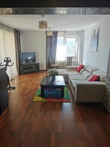 Central Mountain View Apartment