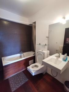 Central Mountain View Apartment