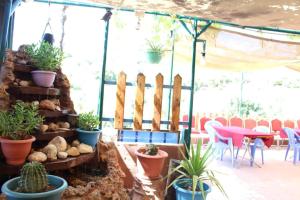 استراحة ومنتجع قرية الزرب