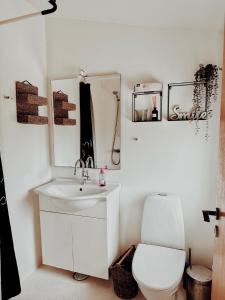 Sommerhus ved vestkysten