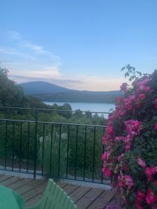 Flo mobil home camping Poney trois étoiles route de Moustiers Ste Croix