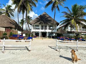 The African Paradise Beach Hotel