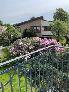 Kaukas balcony