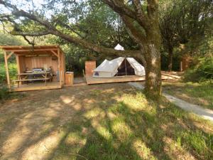 Tentes de luxe Tente luxe jacuzzi au bord des etangs : photos des chambres