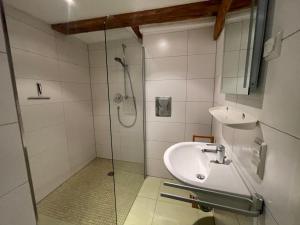 Altbauwohnung Stadtmitte