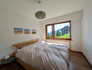 Appartement exceptionnel sur les pistes