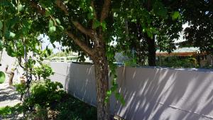 Sugarcubes by Evagstays