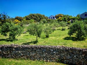 Island Cres Stivan beautiful views