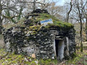 B&B / Chambres d'hotes Eco-immersion : photos des chambres
