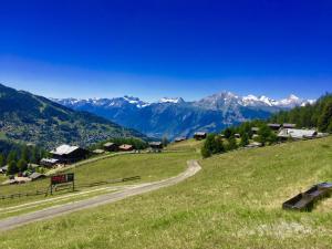 Pracondu 2 105 - OUTDOOR & FUN charming apartment