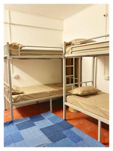 Zion Backpackers Hostel Shillong