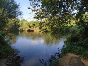 על מפגש הנחלים