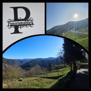 Panoramablick Bermersbach - アパートメント, フォルバック
