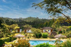 Andasibe Sifaka Lodge