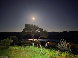 Villas Les Oliviers Du Lac : photos des chambres