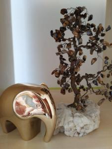 Marymont Potok House