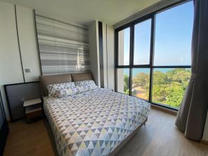 Andromeda Condominium