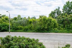 RentPlanet - Apartament Krajewskiego