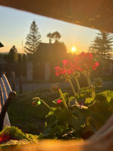 Domek u Hanci z jacuzzi