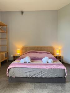 Appartements One Bedroom Apartment Centre Lyon : photos des chambres