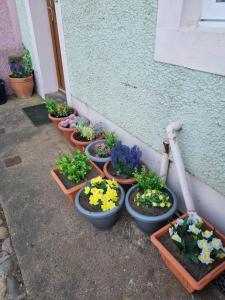 West View Cottage in Seaside Village of Allonby Cumbria