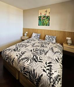 Moradia em Ponta do Sol 2 Quartos