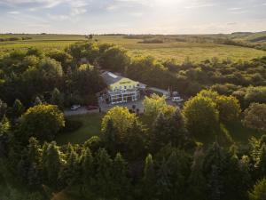 Kohári Vendégház és Pince